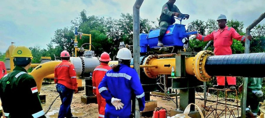 pt vertical - Hydrotest Pipeline 16 inch Segment-6 Pekanbaru