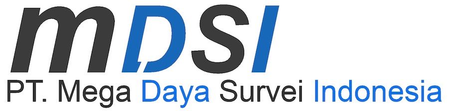 MEGA DSURVEY